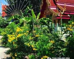 Мистический Бангкок поездка Тайланд 19
