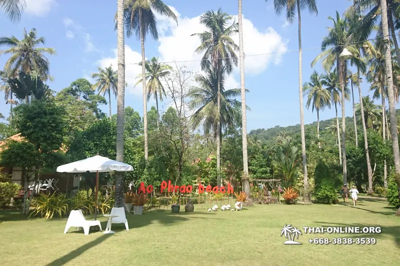 Купить экскурсии на острова Тайланда на сайте, без предоплат в 2019 г