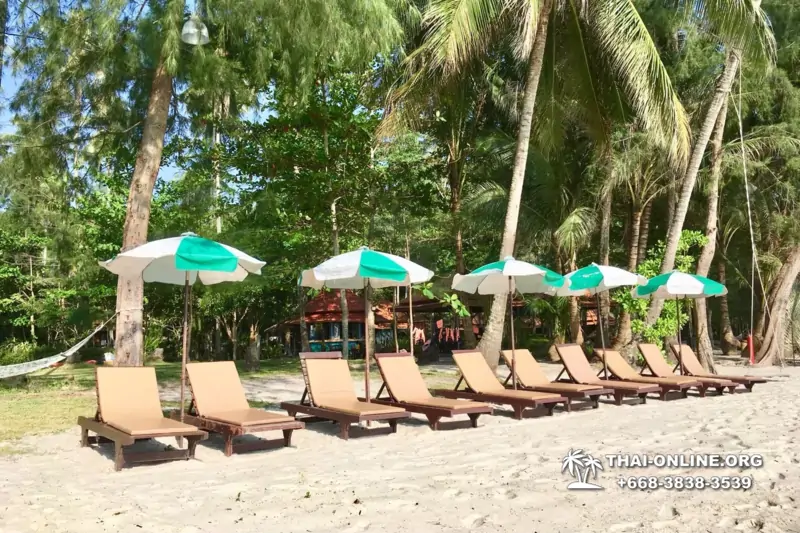 Фотографии и отзывы туристов об отеле Ao Phrao Koh Kud Resort 2019 год