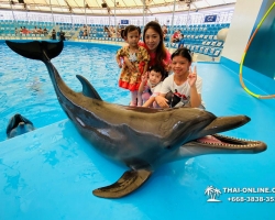 Тур в новый дельфинарий в Тайланде - фото поездки ТО40