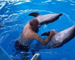 Тур в новый дельфинарий в Тайланде - фото поездки ТО29
