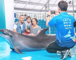 Тур в новый дельфинарий в Тайланде - фото поездки Seven Countries 49