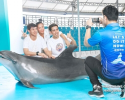 Тур в новый дельфинарий в Тайланде - фото поездки Seven Countries 51