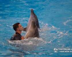 Тур в новый дельфинарий в Тайланде - фото поездки Seven Countries 107