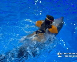 Тур в новый дельфинарий в Тайланде - фото поездки Seven Countries 103