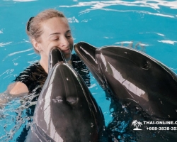 Тур в новый дельфинарий в Тайланде - фото поездки Seven Countries 69