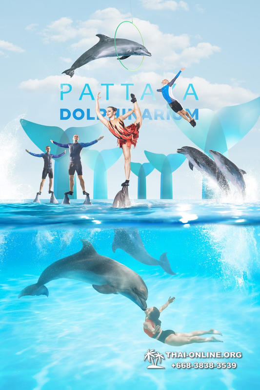 Дельфинарий Pattaya Dolphinarium экскурсия Seven Countries в Паттайе фото 40