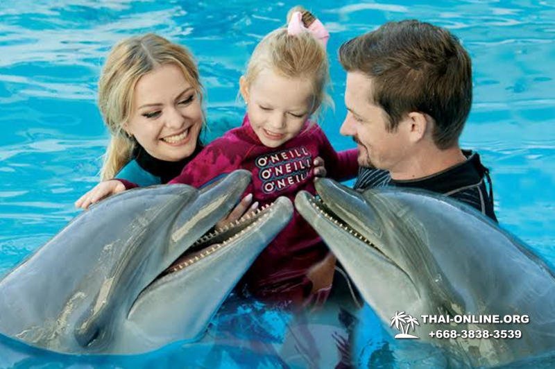 Дельфинарий Pattaya Dolphinarium экскурсия Seven Countries в Паттайе фото 15