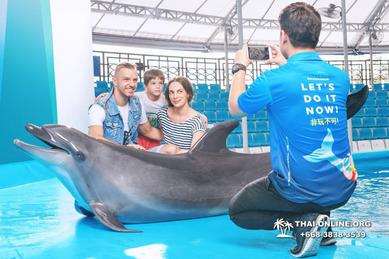 Дельфинарий Pattaya Dolphinarium экскурсия Seven Countries в Паттайе фото 13