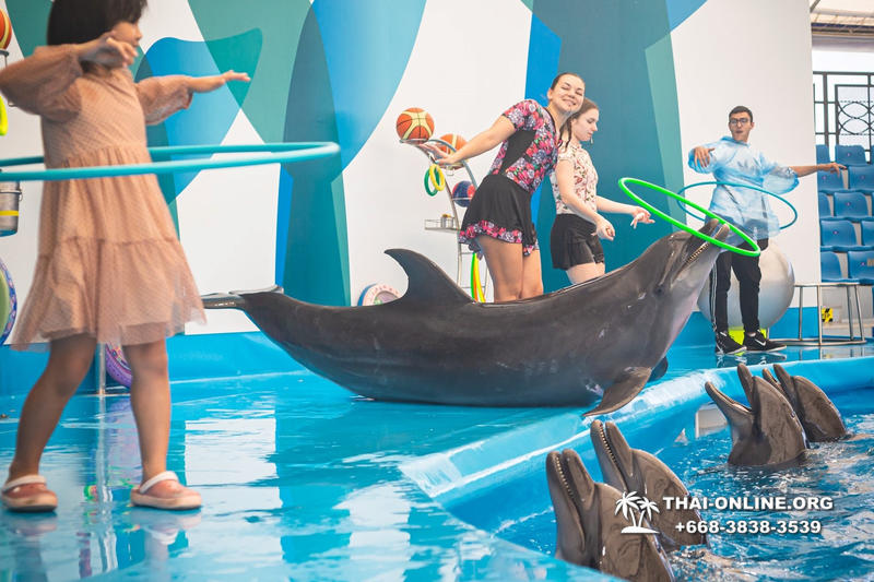 Дельфинарий Pattaya Dolphinarium экскурсия Seven Countries в Паттайе фото 50
