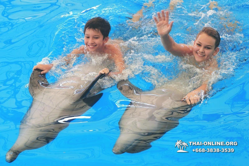 Дельфинарий Pattaya Dolphinarium экскурсия Seven Countries в Паттайе фото 14