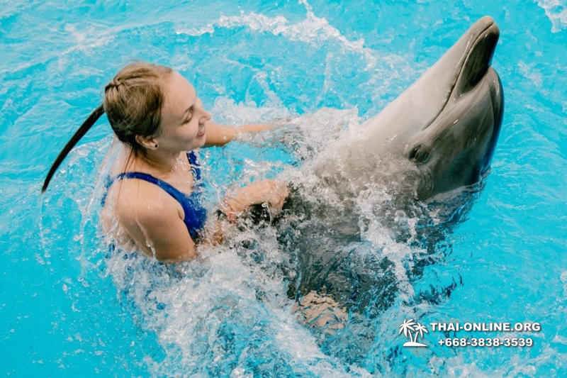 Дельфинарий Pattaya Dolphinarium экскурсия Seven Countries в Паттайе фото 34