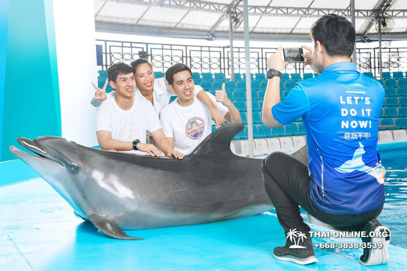 Тур в новый дельфинарий в Тайланде - фото поездки Seven Countries 51