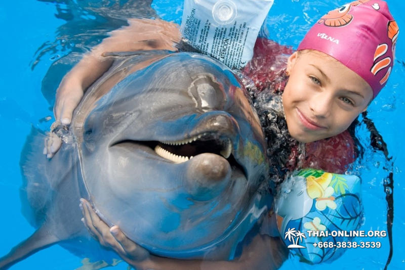 Дельфинарий Pattaya Dolphinarium экскурсия Seven Countries в Паттайе фото 43