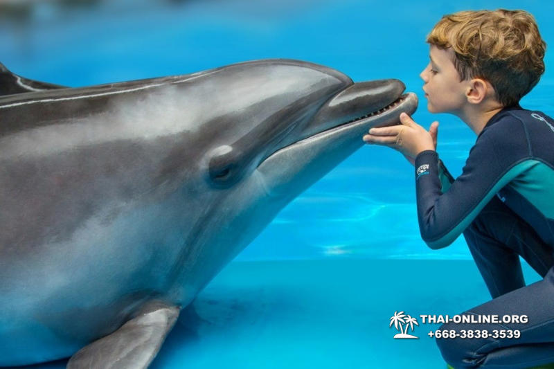 Дельфинарий Pattaya Dolphinarium экскурсия Seven Countries в Паттайе фото 41