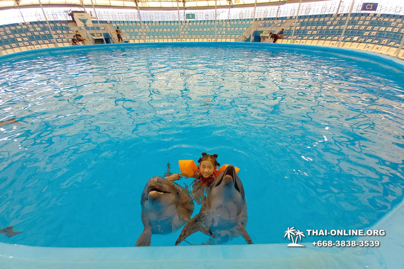 Дельфинарий Pattaya Dolphinarium экскурсия Seven Countries в Паттайе фото 18