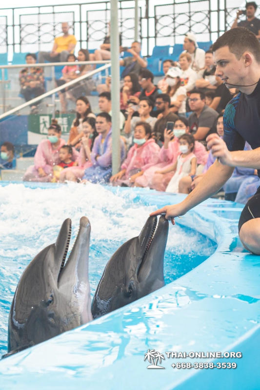 Тур в новый дельфинарий в Тайланде - фото поездки Seven Countries 94