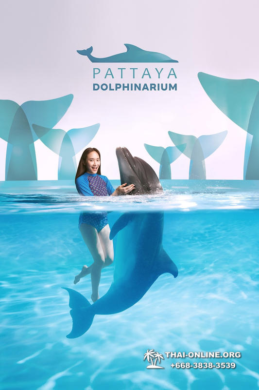 Дельфинарий Pattaya Dolphinarium экскурсия Seven Countries в Паттайе фото 20