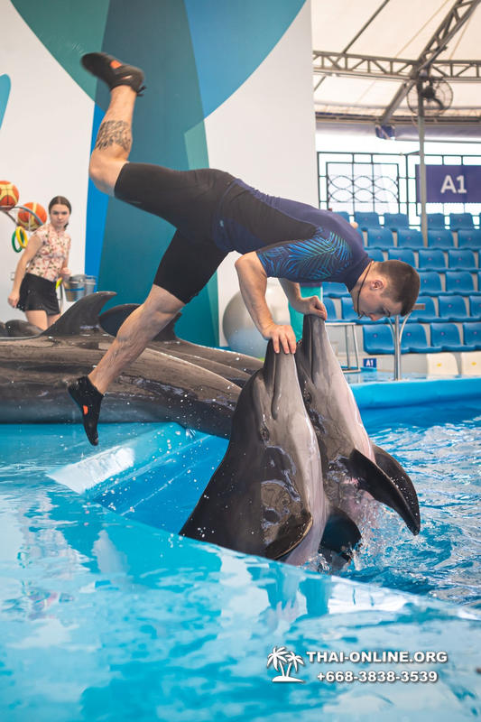 Тур в новый дельфинарий в Тайланде - фото поездки Seven Countries 108