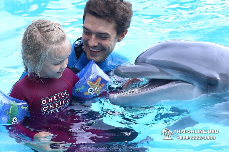 Дельфинарий Pattaya Dolphinarium экскурсия Seven Countries в Паттайе фото 39