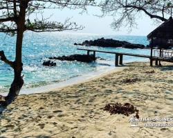 Остров-отель "Тайские Мальдивы" фото Thai-Online 102