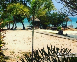 Остров-отель "Тайские Мальдивы" фото Thai-Online 138