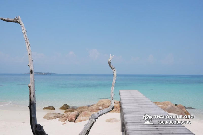 Остров-отель "Тайские Мальдивы" фото Thai-Online 158