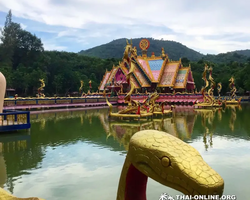 Новый тур В Логово Дракона в Тайланде, Паттайя - фото 173