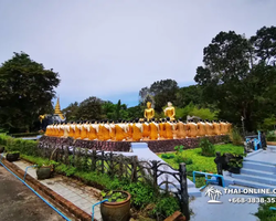 Новый тур В Логово Дракона в Тайланде, Паттайя - фото 137