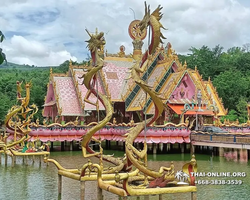 Новый тур В Логово Дракона в Тайланде, Паттайя - фото 101