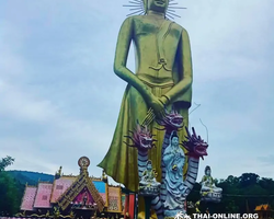 Новый тур Seven Countries Логово Дракона в Тайланде Паттайя фото 264
