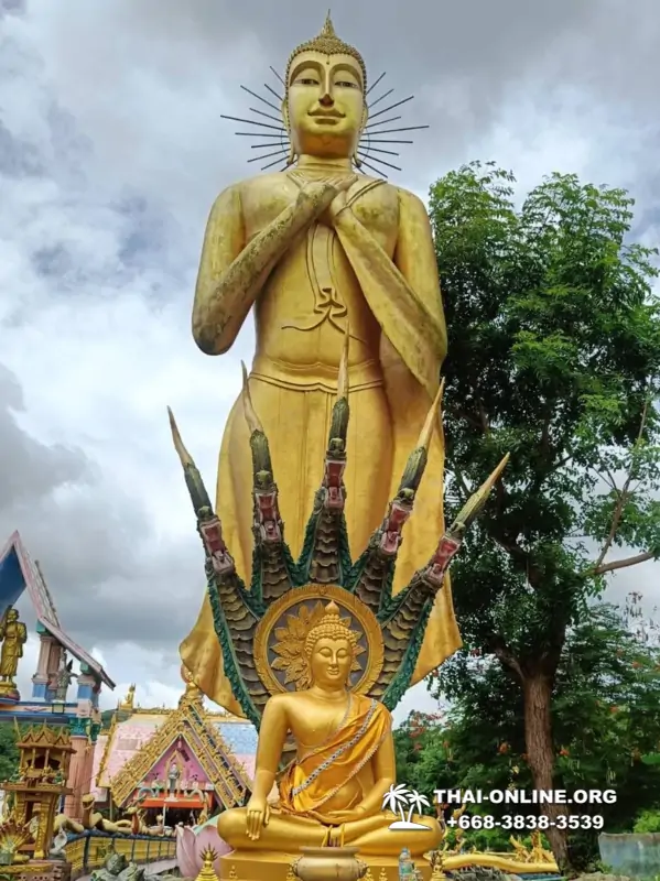 Новый тур В Логово Дракона в Тайланде, Паттайя - фото 55