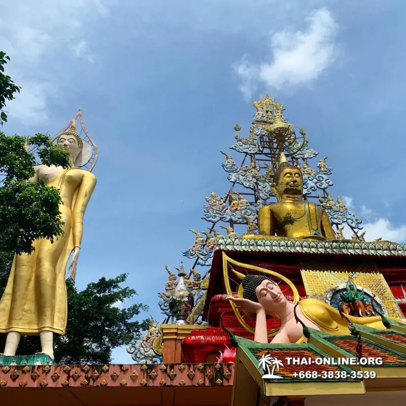 Новый тур В Логово Дракона в Тайланде, Паттайя - фото 42