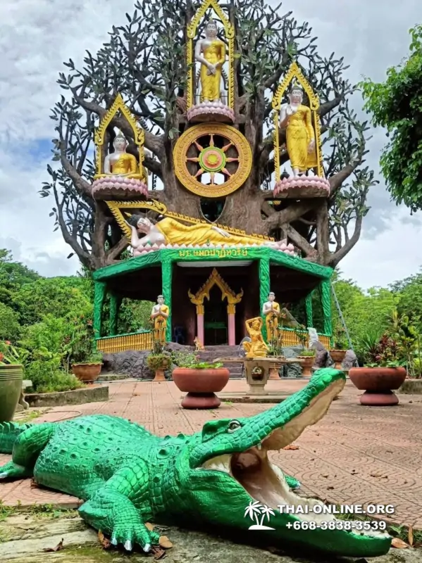 Новый тур В Логово Дракона в Тайланде, Паттайя - фото 52
