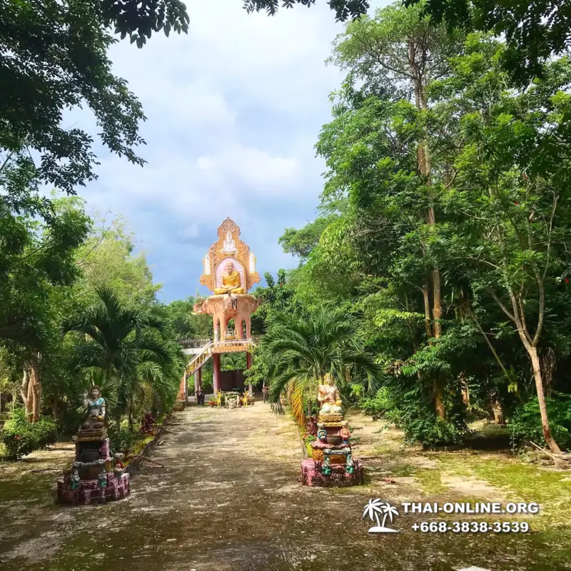 Новый тур В Логово Дракона в Тайланде, Паттайя - фото 214