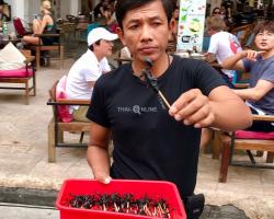 Фото тура Крайне Опасный Бангкок из Паттайя, Таиланд ТО-015