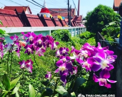Экскурсия "Весь Бангкок" из Паттайя в Таиланде фото ТО-028