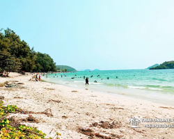 Пляж Саттахип поездка Тайланд - фото 50