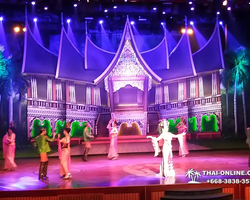 Травести-шоу Альказар в Тайланде театр кабаре Alcazar - фото 39