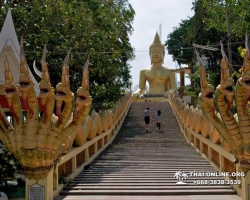 Инстаграм-Тур в Паттайе, Таиланд фото Thai-Online (137)
