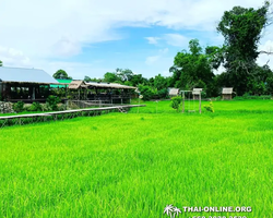Экскурсия Инстаграм-Тур в Паттайе Seven Countries Таиланд фото 73