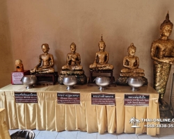 Чок Ди Тур или Herbal Tour фото экскурсии из Паттайя Thai-Online 23