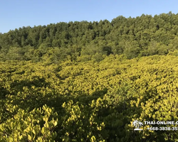 Экскурсия Сталкер в Паттайе Чантабури Таиланд - photo 293