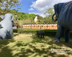 Купить Сталкер экскурсию в Тайланде со скидкой цена 2019 года