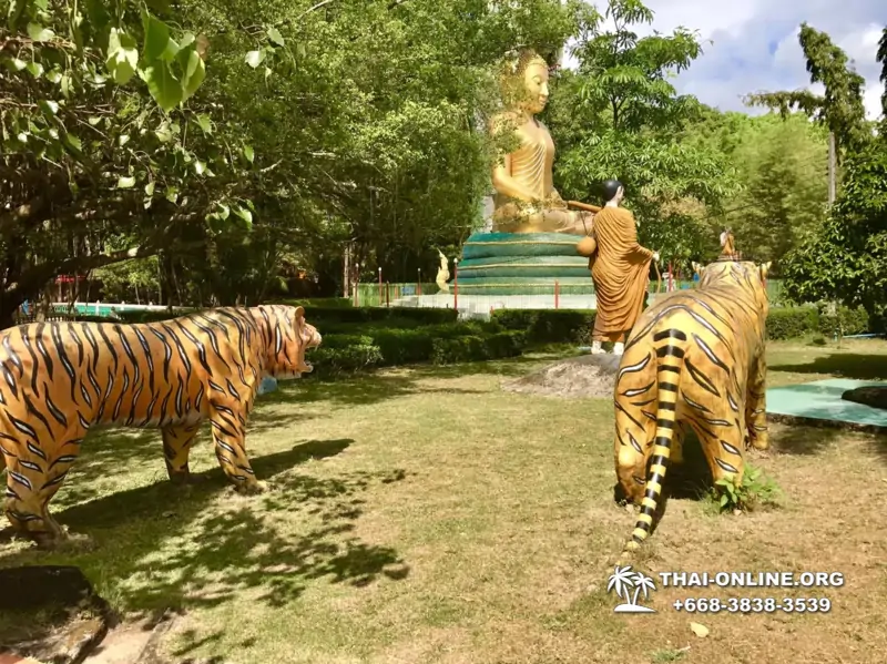 Экскурсия Сталкер в Паттайе Чантабури Таиланд - photo 250