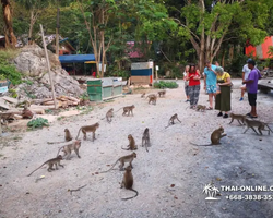 Следопыт экскурсия Seven Countries в Таиланде Паттайя фото 144