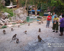 Следопыт экскурсия Seven Countries в Таиланде Паттайя фото 148