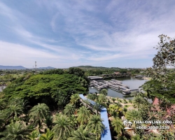 Посетить Ферму Марихуаны в Паттайе Тайланде экскурсия фото 127