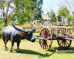 Посетить Ферму Марихуаны в Паттайе Тайланде экскурсия фото 48