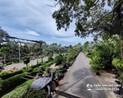 Посетить Ферму Марихуаны в Паттайе Тайланде экскурсия фото 88